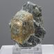 Брейнерит, кристал в породі 68*52*26мм, 75г, Італія 1