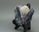 Кианит (дистен), сросток кристаллов 164*85*44мм, 533г, Бразилия 3
