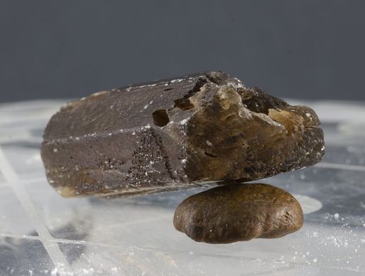 Енстатит, кристал 28*14*11мм, 7.72г, Танзанія