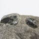 Александрит, кристаллы в породе 183*93*61мм. Геммологическое заключение 13