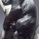 Кабинетное украшение статуэтка БАГИРА, черный оникс, 16см 8
