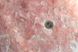 Рожевий кварц, полірована галька 10-15мм Мадагаскар. 10г/уп (3-4шт) 4