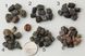 Верделіт Турмалін необроблені фрагменти кристалів 5-10мм з Замбії 2