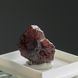 Гранат спесартин, скелетний кристал 23*20*14мм, Бразилія 4