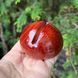 Подставка 66*66*30мм металлическая под коллекционные образцы (срезы, пластины)  3