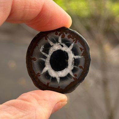 Септарія з Марокко| 34*32*13мм | 18г купити Септарія з Марокко| 34*32*13мм | 18г