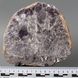 Лепидолит из Бразилии, фрагмент кристалла 167*158*18мм 3