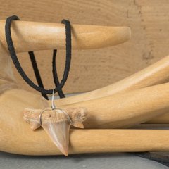 Кулон зі скам'янілого зуба акули