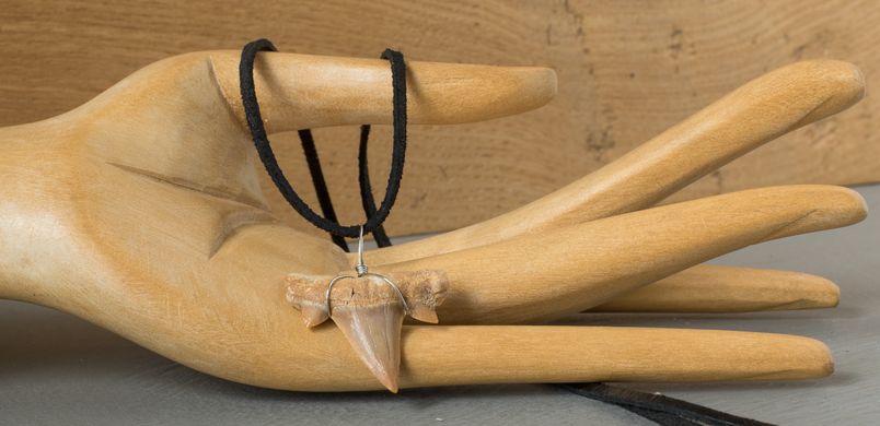 Кулон зі скам'янілого зуба акули
