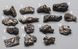 Сіхоте-Алінський метеорит, фрагменти на вибір, вага 1шт 1.1-1.5г 3