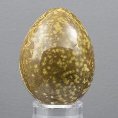 Яйце з океанічної яшми 57*45мм, 143г, Мадагаскар