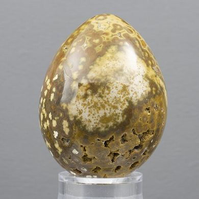 Яйце з океанічної яшми 57*45мм, 143г, Мадагаскар
