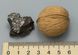 Метеорит, залізний октаедрит, 24*23*19мм, 24.6г, Аргентина 2